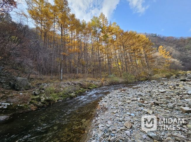 육송정 삼거리 물놀이장 전경