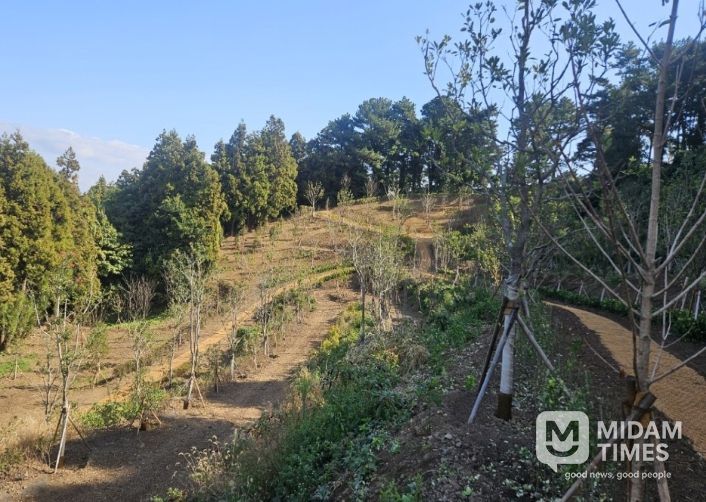 삼매봉공원 도시바람길 디딤확산숲
