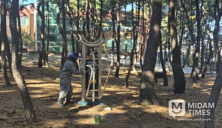 종려나무 월동 준비