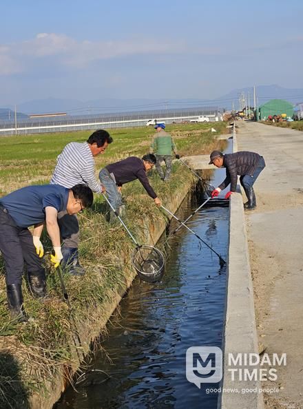 김해시, 왕우렁이 일제 수거 기간 운영