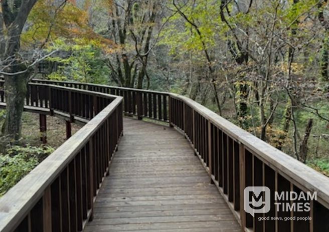 서귀포자연휴양림 무장애나눔길