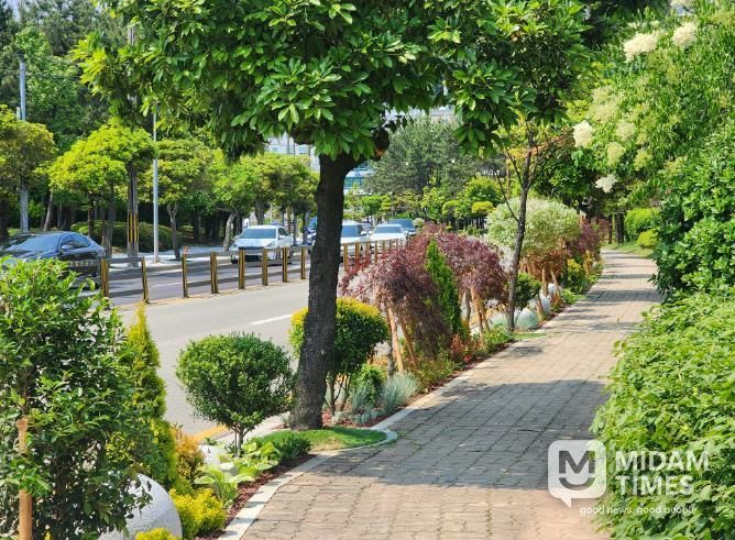 통영시, ‘도시숲·녹지공간 조성’ 올해 최우수기관 선정 1(원문명품가로숲길)