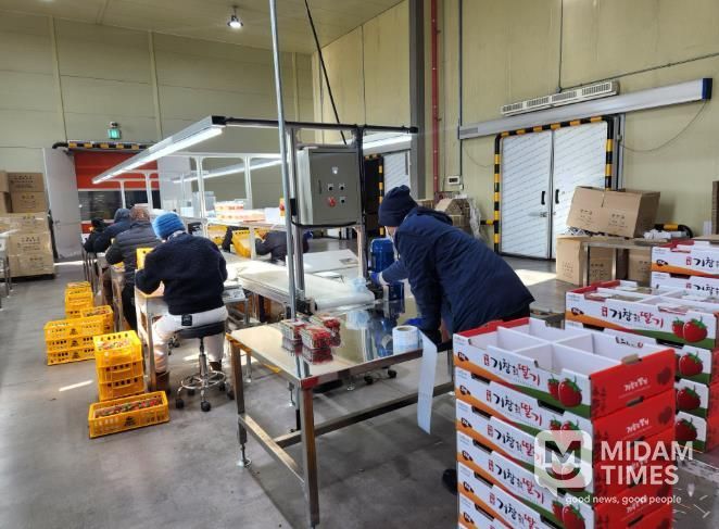 거창군 서북부경남거점APC, 딸기공선조직 결성