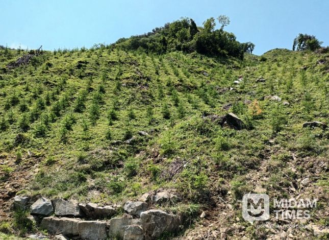 거창군, 2025년 경남도 산림자원분야 ‘최우수’기관 선정