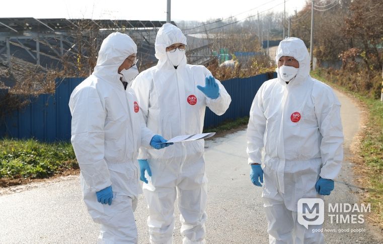 영암군 고병원성 AI 방역 총력