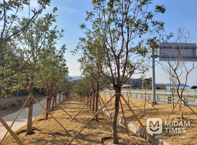 남해군, '도시숲 및 녹지공간 조성' 우수기관 선정 = 기후대응 도시숲
