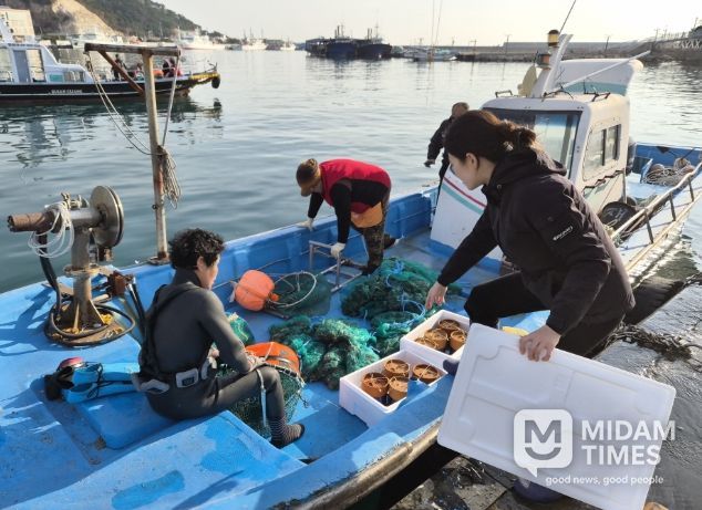 자체생산 해삼 종자 6만 6백미 마을어장 방류