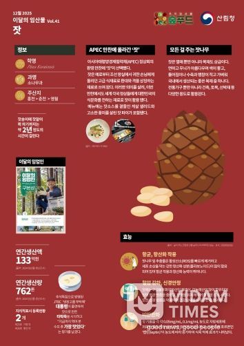 2025 이달의 임산물-12월 `잣`