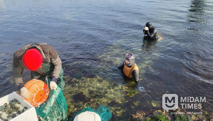 포항시가 지난 10일과 11일 지역 40개 어촌계 마을어장에 전복 55만 미, 14개 어촌계 마을어장에 해삼 28만 미를 방류하며 올해 수산종자 방류사업을 마무리했다.