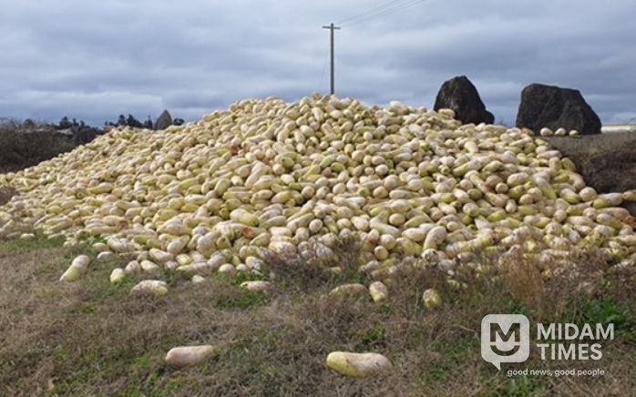 농산물류 폐기물 무단 투기 집중 단속