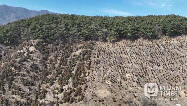 산청군, 경남도 산림자원분야 평가 장려상..조림·숲가꾸기 효율 관리