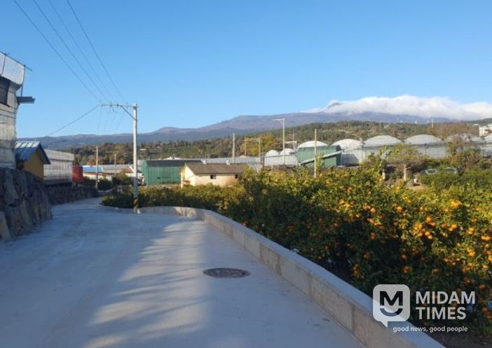 강정지구 밭기반 정비사업 준공