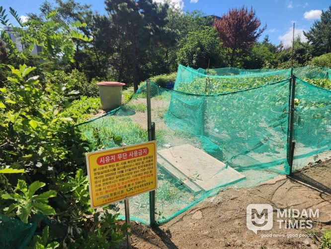 공유재산 정밀실태 조사 현장