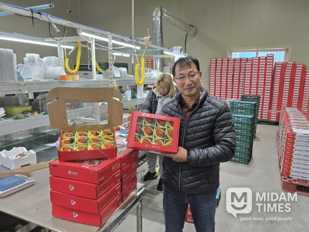 루비보다 값진 바알간 결실, 수출용 상주 딸기의 새로운 가능성