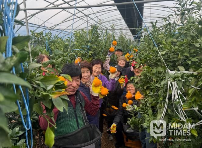 고령군 도민행복대학2기 동창회, 농가 일손돕기 봉사활동 펼쳐