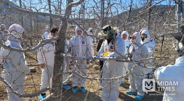 영덕군 농업기술센터가 농가 현장에서 화상병 예찰과 방제 교육을 진행하고 있다.