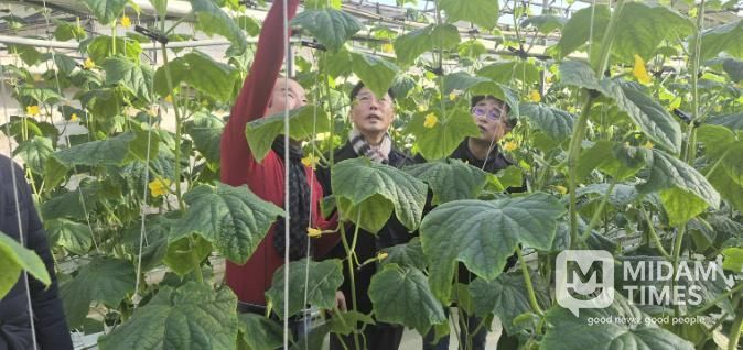 상주시, 새해 농사의 시작을 알리는 1월 시설 하우스 방문