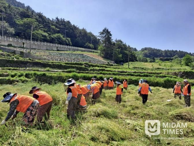 남해군, 26년 노인일자리 및 사회활동지원사업 본격 추진
