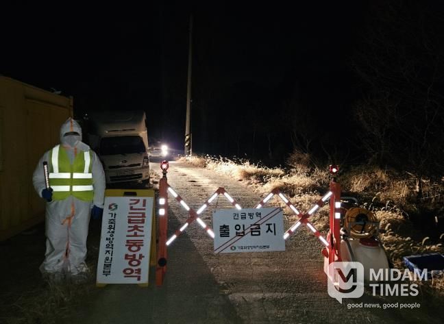 농장 반역 사진