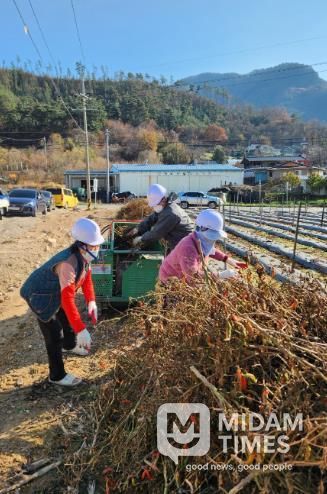 무주군, 영농부산물 파쇄지원 서비스 눈길, 미세먼지 저감 및 산불 예방 효과 기대