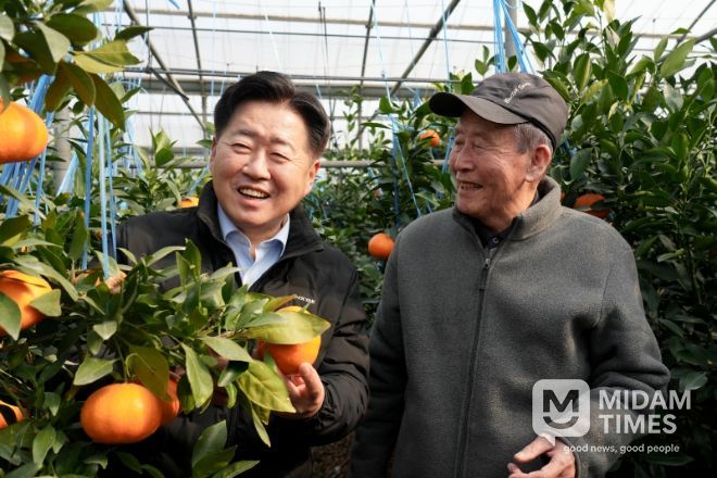 만감류 레드향 본격 출하에 따른 현장 방문