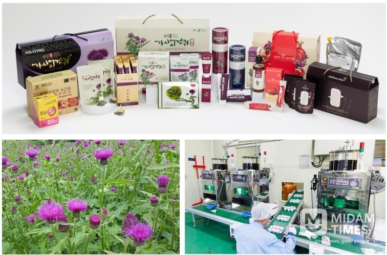 임실군, 간 건강 엉겅퀴 K-기능성식품 고부가가치 적극 육성