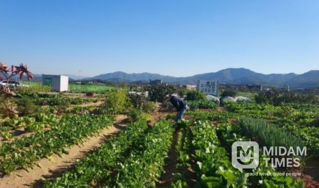군위군, 텃밭에서 배우는 농업… 주말농장·주말농부학교 함께 연다.