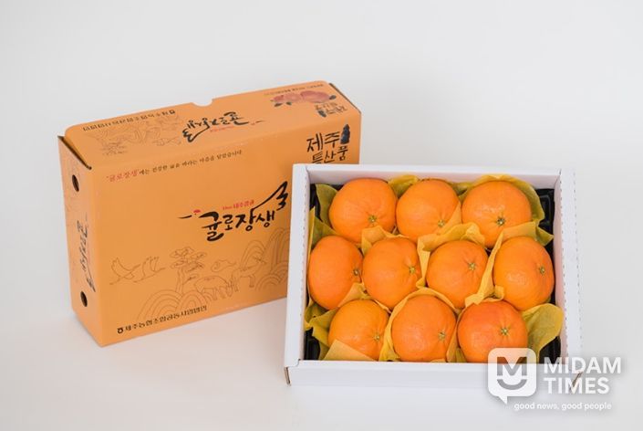 제주시 만감류 설 선물세트