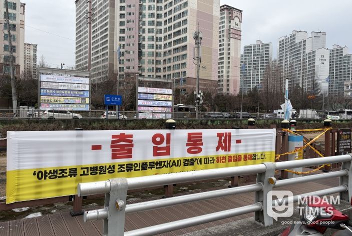 창원특례시, 마산회원구 양덕천 고병원성 조류인플루엔자(AI) 발생으로 출입통제