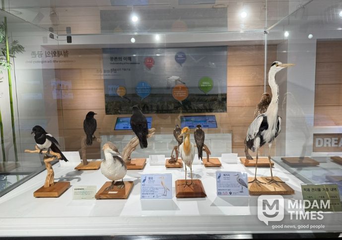 ‘태화강 조류 특별전시전’