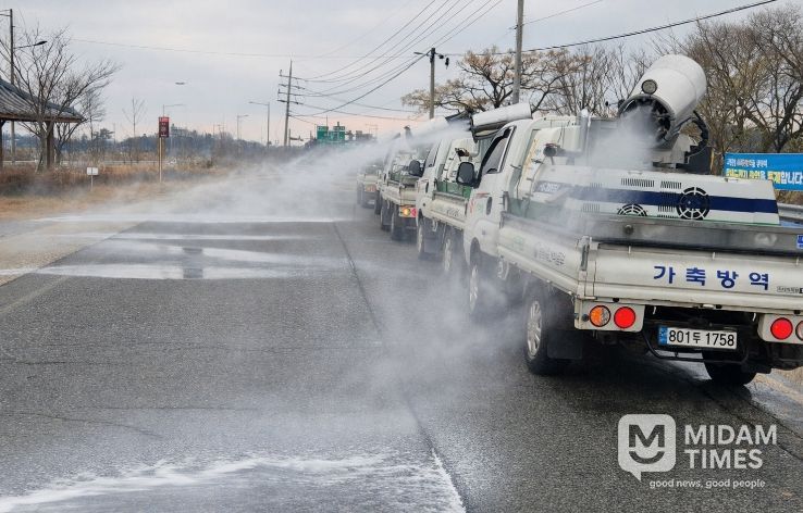 공동방제단 소독