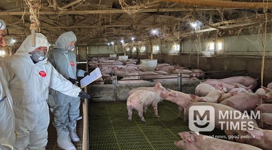 울산보건환경연구원 심민령 원장이 아프리카돼지열병 발생 예방을 위해 돼지 농가를 직접 방문해 방역 실태를 점검하고 있다
