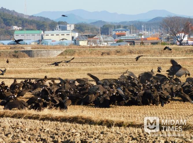 2026년 설 연휴 다양한 관광지로 준비된 고성군