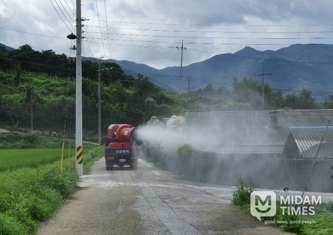 설 명절 가축전염병 집중 소독