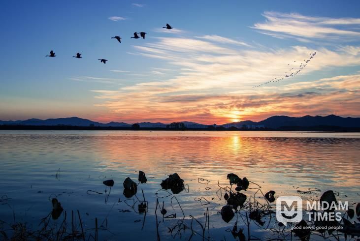 주남저수지 전경