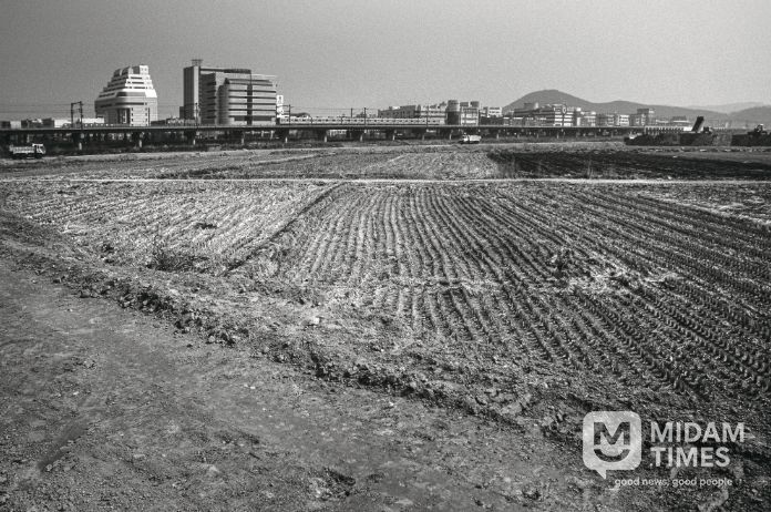 1995년도 고잔뜰 전경, 현재는 고잔신도시가 조성되어 아파트 단지로 변모했다.