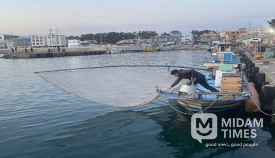 분기초망 그물 전개