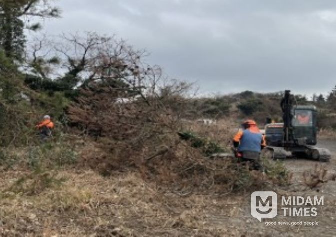소나무재선충병 방제사업