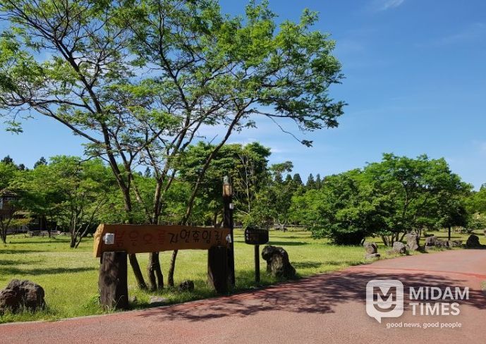 붉은오름자연휴양림