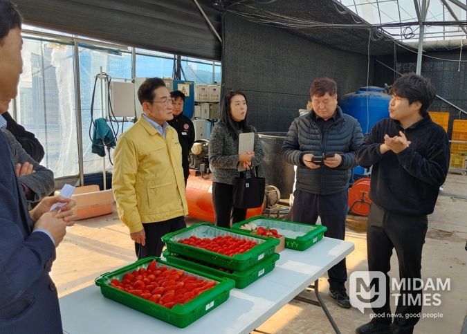 시 관계자들이 임고면 한편농원을 방문해 딸기 재배시설을 살펴보고 설명을 듣고 있다.