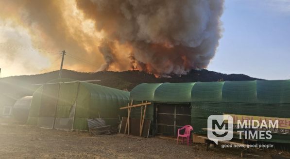 밀양시 삼랑진읍 야산 산불