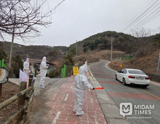 긴급 방역조치 총력