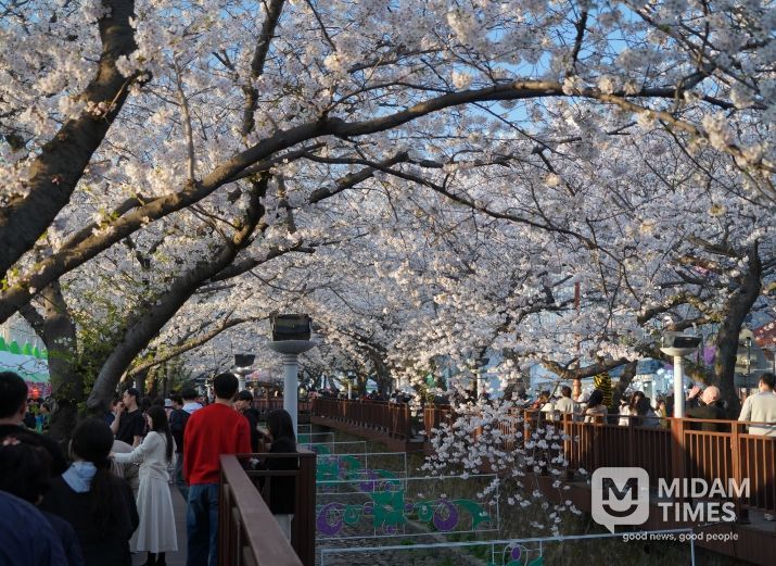 대표 봄 축제 진해군항제, 문체부 예비축제 지정