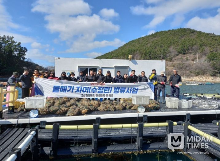 남해군, 수정란 방류