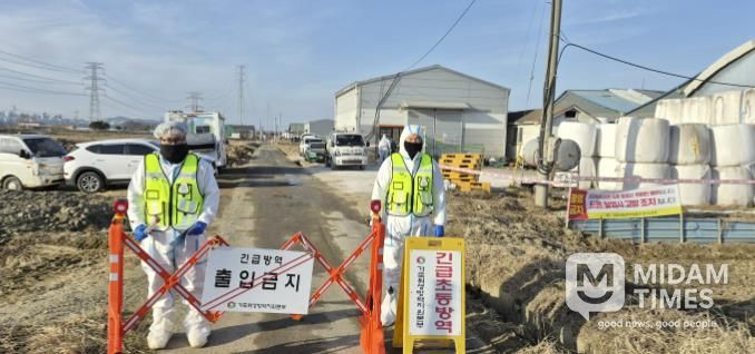 구제역 발생 농가 현장