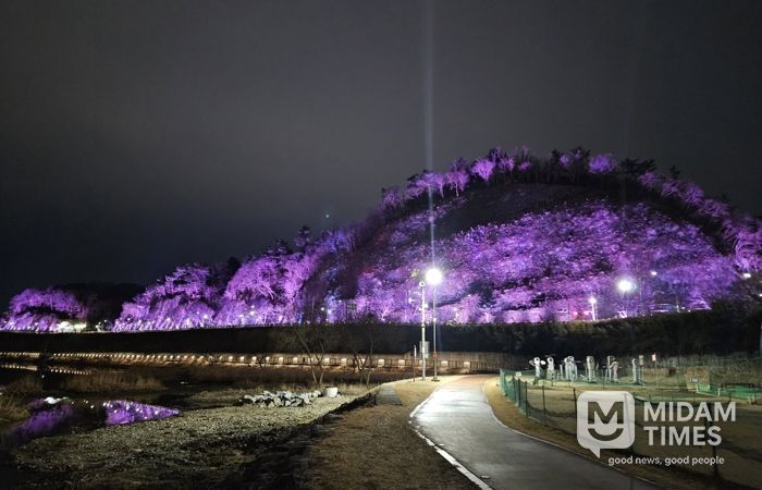 진주시, ‘새벼리 야간 경관조명 새단장’ 운영 재개