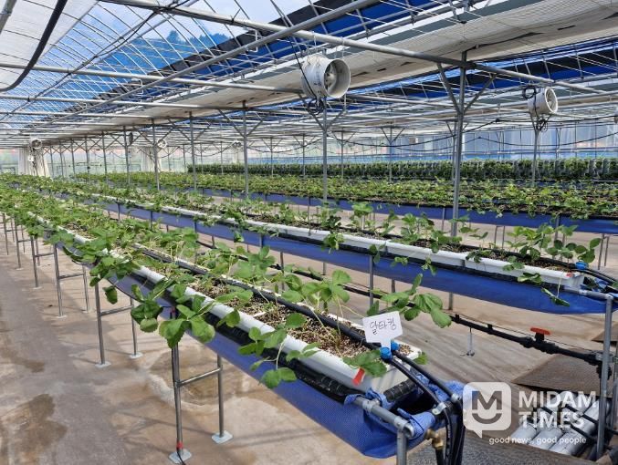 스마트농업 테스트베드