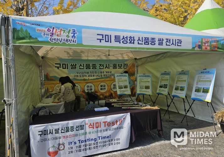 계통선발전시및맛테스트