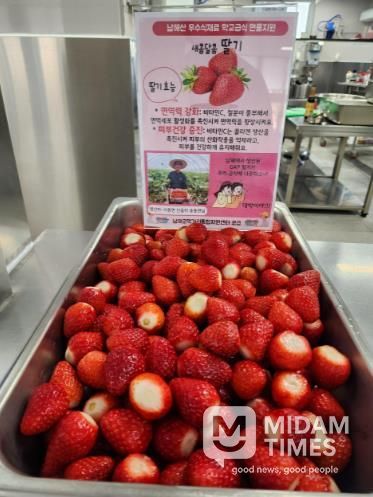 남해군, 남해산 GAP 딸기 학교급식 현물 지원