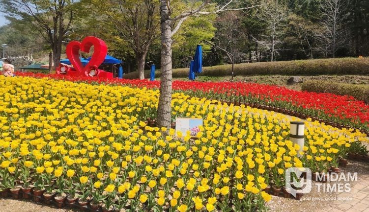 광장·산책로 일대 봄꽃동산 조성,